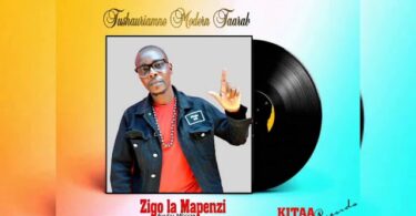 AUDIO Ayyub Mboga - Zigo La Mapenzi Mp3 Download