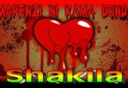AUDIO Bi Shakila - Mapenzi Kama Donda Mp3 Download