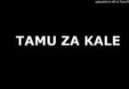 AUDIO Gari Kubwa - Narudi Nyumbani Mp3 Download