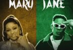 AUDIO Appy Ft Baddest 47 - Mary Jane Mp3 Download