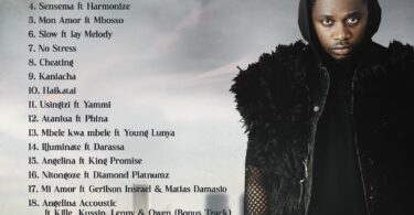 ALBUM Rayvanny - The Big One Mp3 Download