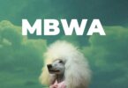 AUDIO D Voice - Mbwa Mp3 Download