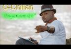AUDIO Q Chief - Ungeniumiza Mp3 Download