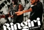 AUDIO Willy Paul Ft Innos b - Bingiri Mp3 Download