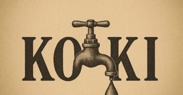 AUDIO Vanillah Ft Ibraah - Koki Mp3 Download